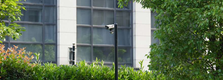 WizColor camera installed outdoors on a pole